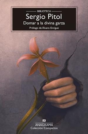 DOMAR A LA DIVINA GARZA | 9788433950987 | PITOL, SERGIO | Llibreria Online de Banyoles | Comprar llibres en català i castellà online