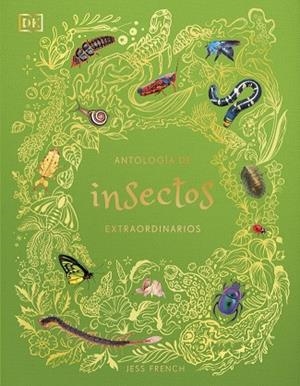 ANTOLOGÍA DE INSECTOS EXTRAORDINARIOS (PLANETA CURIOSO) | 9780241838792 | FRENCH, JESS | Llibreria Online de Banyoles | Comprar llibres en català i castellà online