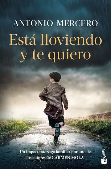 ESTÁ LLOVIENDO Y TE QUIERO | 9788408326724 | MERCERO, ANTONIO | Llibreria Online de Banyoles | Comprar llibres en català i castellà online