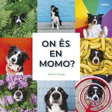 ON ÉS EN MOMO? | 9788410407893 | KNAPP, ANDREW | Llibreria Online de Banyoles | Comprar llibres en català i castellà online
