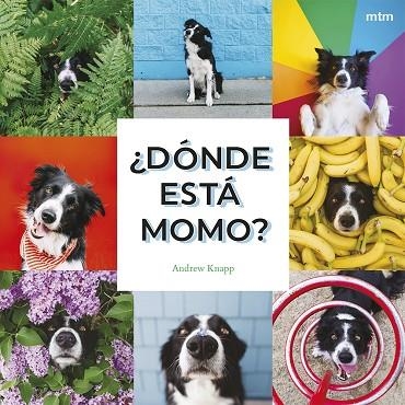 ¿DÓNDE ESTÁ MOMO? | 9788410407909 | KNAPP, ANDREW | Llibreria Online de Banyoles | Comprar llibres en català i castellà online