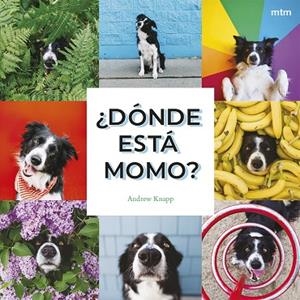 ¿DÓNDE ESTÁ MOMO? | 9788410407909 | KNAPP, ANDREW | Llibreria Online de Banyoles | Comprar llibres en català i castellà online