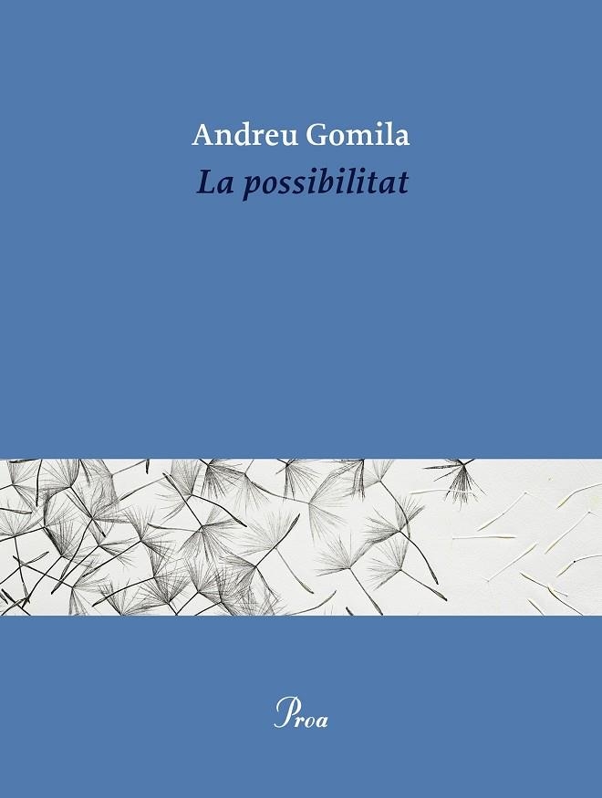 LA POSSIBILITAT | 9791388369155 | GOMILA LLOBERA, ANDREU | Llibreria Online de Banyoles | Comprar llibres en català i castellà online