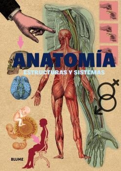 ANATOMÍA | 9791388023286 | VARIOS AUTORES | Llibreria Online de Banyoles | Comprar llibres en català i castellà online