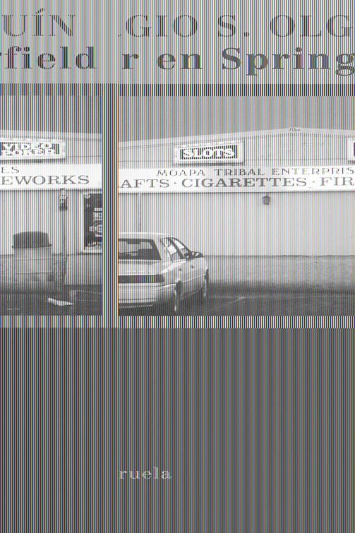 VIVIR EN SPRINGFIELD | 9788498411799 | OLGUIN, SERGIO | Llibreria Online de Banyoles | Comprar llibres en català i castellà online