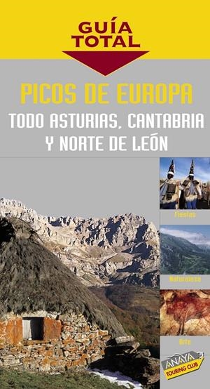 PICOS DE EUROPA GUIA TOTAL | 9788497762809 | MARTIN, RAMON (MARTIN MARTIN) | Llibreria L'Altell - Llibreria Online de Banyoles | Comprar llibres en català i castellà online - Llibreria de Girona
