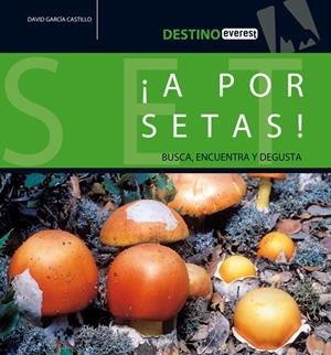 A POR SETAS! BUSCA,ENCUENTRA Y DEGUSTA | 9788424105198 | GARCIA CASTILLO,ANGEL DAVID | Llibreria Online de Banyoles | Comprar llibres en català i castellà online