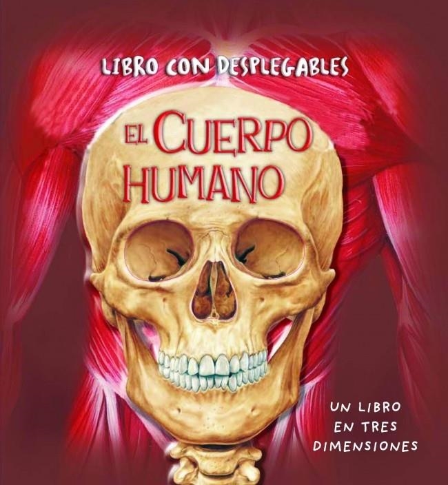 CUERPO HUMANO, EL | 9788448828004 | AA.VV. | Llibreria L'Altell - Llibreria Online de Banyoles | Comprar llibres en català i castellà online - Llibreria de Girona