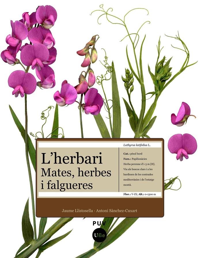 HERBARI, L' -MATES HERBES I FA | 9788447531905 | LLISTOSELLA, JAUME/SÀNCHEZ-CUX | Llibreria L'Altell - Llibreria Online de Banyoles | Comprar llibres en català i castellà online - Llibreria de Girona