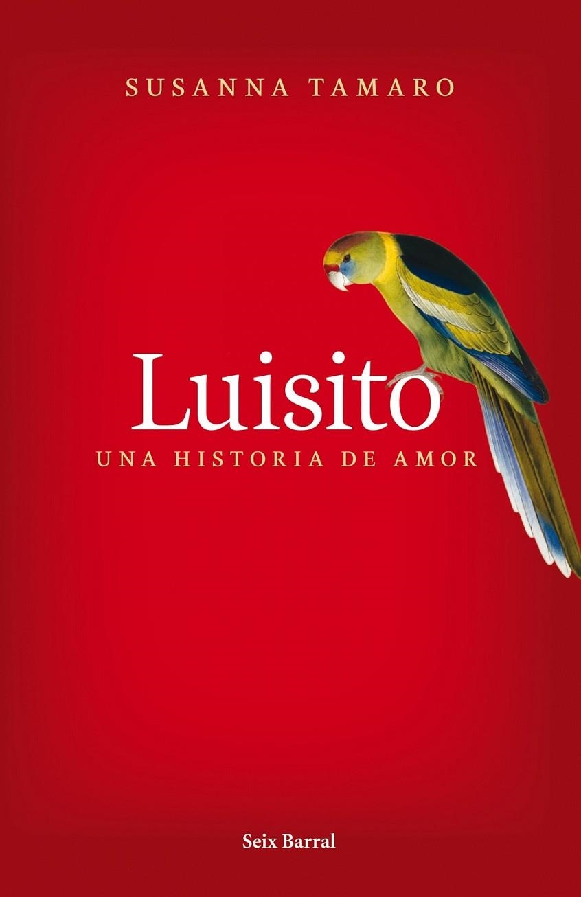 LUISITO. UNA HISTORIA DE AMOR | 9788432231841 | SUSANNA TAMARO | Llibreria L'Altell - Llibreria Online de Banyoles | Comprar llibres en català i castellà online - Llibreria de Girona