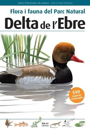 FLORA I FAUNA DEL PARAC NATURAL DELTA DE L'EBRE | 9788496905184 | LLOBET FRANÇOIS, TONI | Llibreria L'Altell - Llibreria Online de Banyoles | Comprar llibres en català i castellà online - Llibreria de Girona