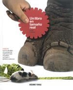 LIBRO EN TAMAÑO REAL, UN | 9786074000917 | DONEIGER, JORGE | Llibreria Online de Banyoles | Comprar llibres en català i castellà online