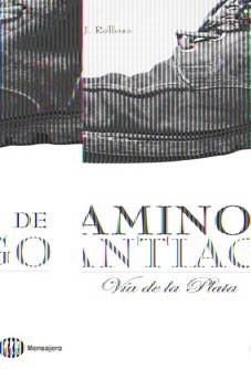 CAMINO DE SANTIAGO | 9788427130876 | RELLOSO, FRANCISCO J. | Llibreria Online de Banyoles | Comprar llibres en català i castellà online