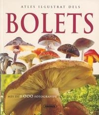BOLETS | 9788467700350 | LAMAISON, JEAN-LOUIS/POLESE, JEAN-MARIE | Llibreria L'Altell - Llibreria Online de Banyoles | Comprar llibres en català i castellà online - Llibreria de Girona