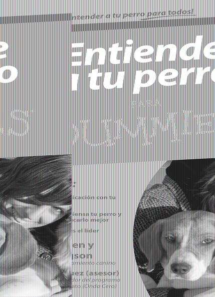 ENTIENDE A TU PERRO PARA DUMMIES | 9788432920752 | COREN S;HODGSON,S; RODRÍGUEZ, CARLOS | Llibreria L'Altell - Llibreria Online de Banyoles | Comprar llibres en català i castellà online - Llibreria de Girona