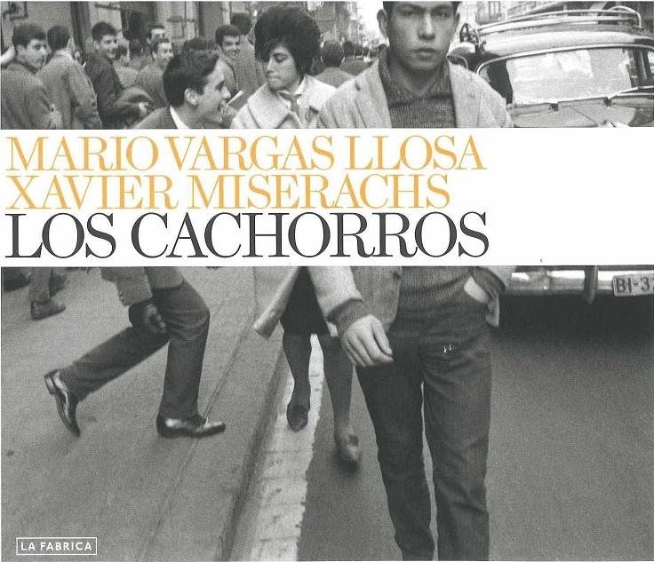 CACHORROS, LOS | 9788492841318 | VARGAS LLOSA, MARIO/MISERACHS, XAVIER | Llibreria L'Altell - Llibreria Online de Banyoles | Comprar llibres en català i castellà online - Llibreria de Girona