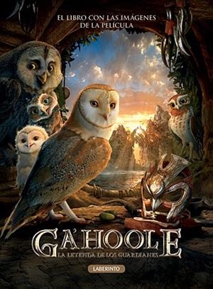 GA HOOLE | 9788484834939 | MACCHETTO, AUGUSTO | Llibreria Online de Banyoles | Comprar llibres en català i castellà online