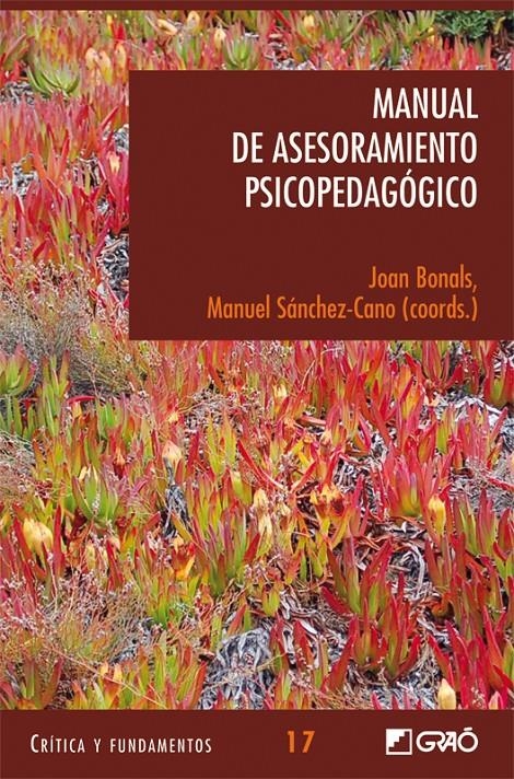 MANUAL DE ASESORAMIENTO PSICOPEDAGOGICO | 9788478275229 | BONALS, JOAN,SANCHEZ-CANO,M (COORDS) | Llibreria L'Altell - Llibreria Online de Banyoles | Comprar llibres en català i castellà online - Llibreria de Girona