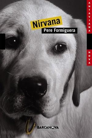 NIRVANA | 9788448919443 | FORMIGUERA SALA, PERE | Llibreria Online de Banyoles | Comprar llibres en català i castellà online