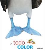 A TODO COLOR | 9786074003741 | A.A.V.V. | Llibreria L'Altell - Llibreria Online de Banyoles | Comprar llibres en català i castellà online - Llibreria de Girona