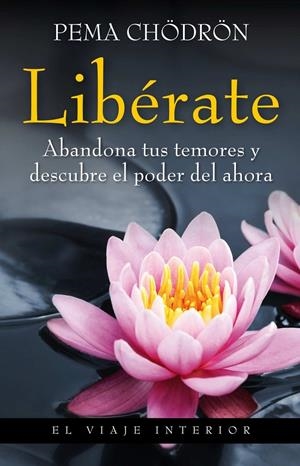 LIBÉRATE. ABANDONA TUS TEMORES Y DESCUBRE EL PODER DEL AHORA | 9788497545235 | CHÖDRÖN, PEMA | Llibreria L'Altell - Llibreria Online de Banyoles | Comprar llibres en català i castellà online - Llibreria de Girona